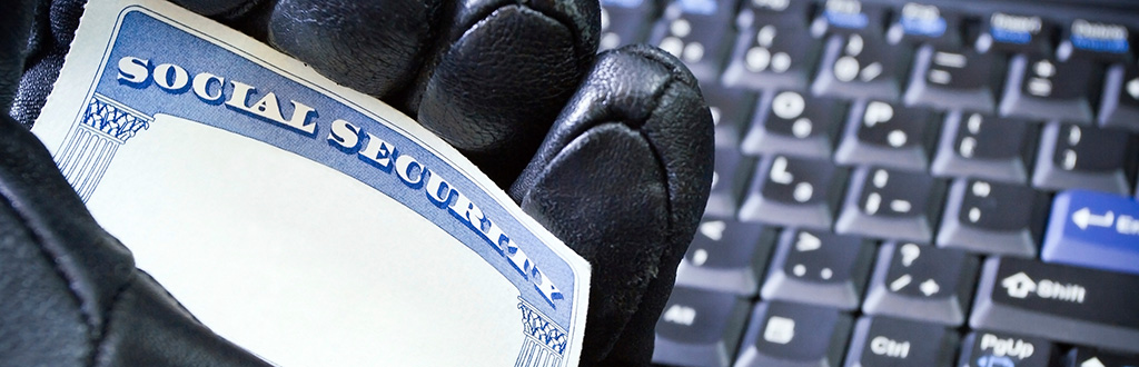 Fraud and Identity Theft Header Image